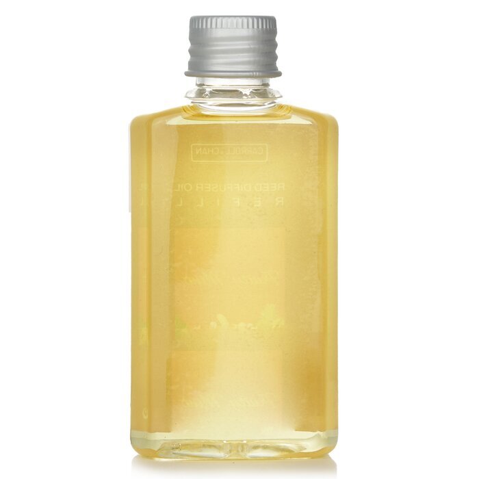 Carroll & Chan Reed Diffuser Nachfüllpackung – Tropischer Wald, 100 ml
