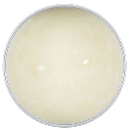 Carroll &amp; Chan Kerze aus 100 % Bienenwachs in Dose – Grüne Meere (8 x 6) cm