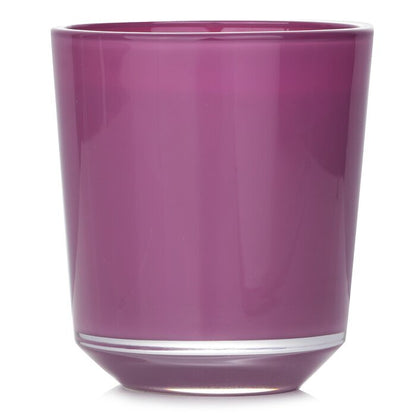 Bougies la Francaise Duftkerze „Lila Feige“ 200 g