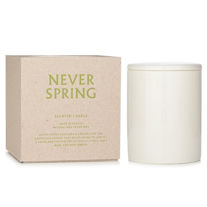 Bjork &amp; Berries Duftkerze - Never Spring 240g/8,5oz